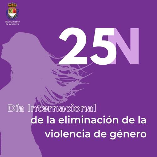 DIA INTERNACIONAL DE LA  ELIMINACION  DE LA VIOLENCIA DE GENERO 