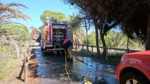 Prácticas de bomberos Comunidad de Madrid en el pinar de Valdilecha.