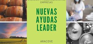 Ayudas LEADER para pequeñas y medianas empresas 