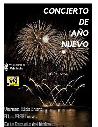 Concierto de año nuevo 