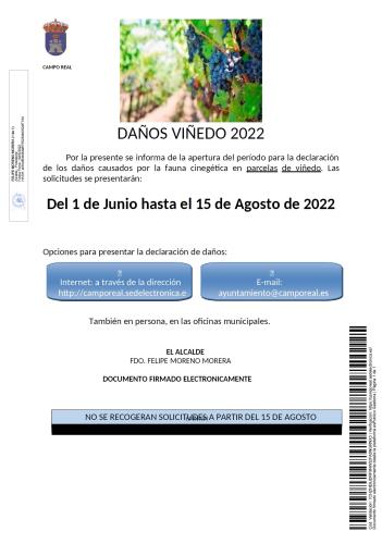 APERTURA EN EL PERÍODO PARA LA DECLARACIÓN DE DAÑOS EN LOS VIÑEDOS DE CAMPO REAL