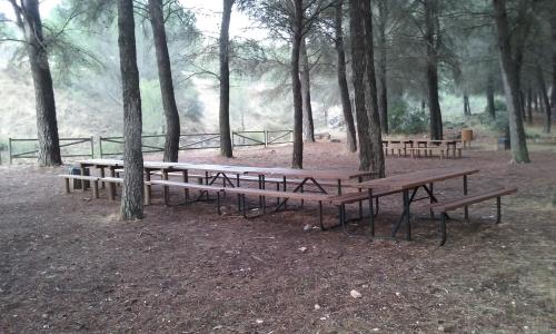 MEJORA Y ACONDICIONAMIENTO DEL PARQUE FORESTAL DE LOS PINOS