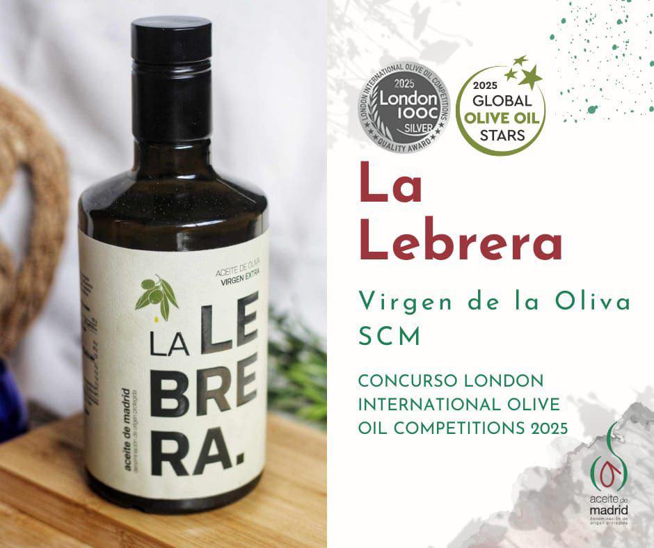 505027236-1027952766184907-7765327575329586279-n