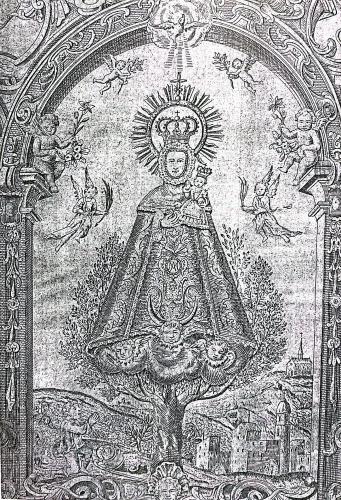 virgen-oliva-t500