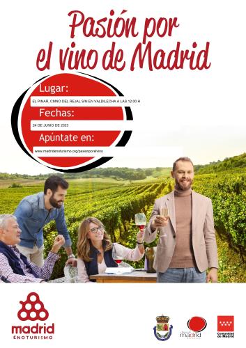 Cata de Vino en Valdilecha 