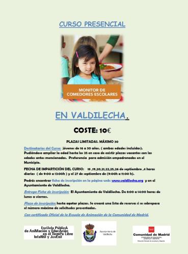 CURSO: MONITOR DE COMEDOR ESCOLAR EN VALDILECHA